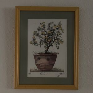 Framed Botanical Art Print “Limone”